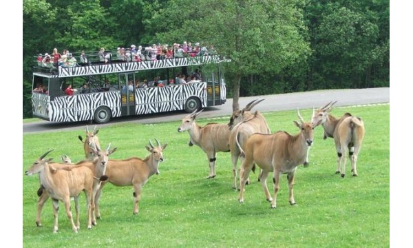 Safari parkas Čekijoje, Praha, Kutna Hora (4 dienos/ 3 nakvynės viešbutyje)